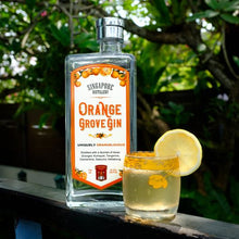 Load image into Gallery viewer, Orange Grove Gin
